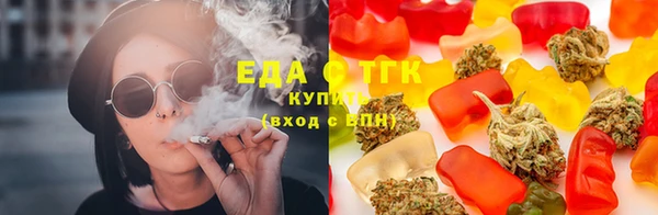 мдпв Горняк