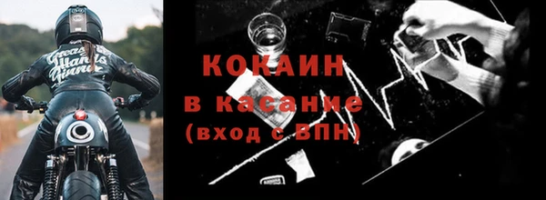 индика Горно-Алтайск