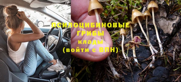 индика Горно-Алтайск