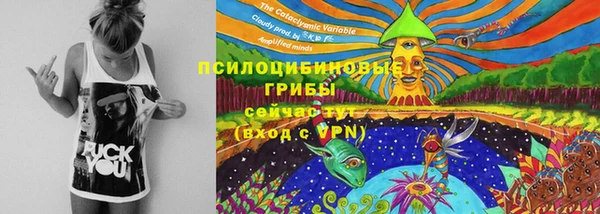 прущая мука Вязьма